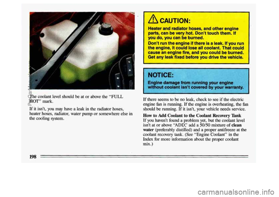 BUICK CENTURY 1993 Owners Manual I
The coolant level should be at or above the “FULL
HOT” mark.
If it isn’t, you may have a leak in the radiator hoses,
heater hoses, radiator, water pump or somewhere BUICK CENTURY 1993 Owners Manual I
The coolant level should be at or above the “FULL
HOT” mark.
If it isn’t, you may have a leak in the radiator hoses,
heater hoses, radiator, water pump or somewhere