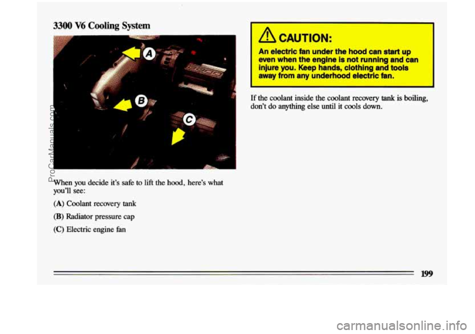 BUICK CENTURY 1993  Owners Manual 3300 V6 Cooling System 
When you decide it’s safe to lift the  hood,  here’s  what 
you’ll  see: 
(A) Coolant  recovery tank 
(B) Radiator  pressure  cap 
(C) Electric  engine fan 
I A CAUTION: 