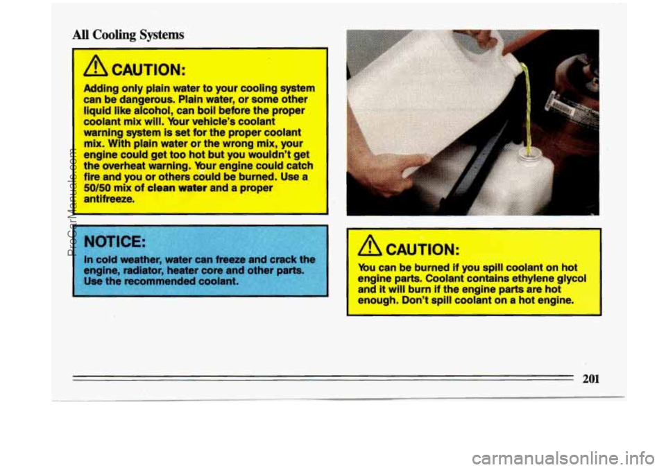 BUICK CENTURY 1993  Owners Manual All Cooling Systems 
A CAUTION: 
Adding only plain  water to your  c.ooling  system 
can  be  dangerous.  Plain  water,  or some  other 
liquid  like  alcohol,  can  boil before  the  proper 
coolant 