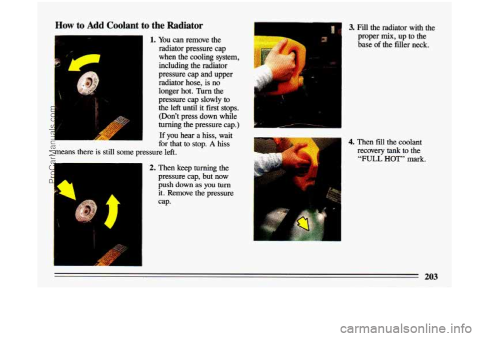 BUICK CENTURY 1993 Owners Manual How to Add Coolant to the Radiator
F
1. You can remove the
radiator pressure cap
when the cooling system,
including
the radiator
pressure cap and upper
radiator hose, is no
long BUICK CENTURY 1993 Owners Manual How to Add Coolant to the Radiator
F
1. You can remove the
radiator pressure cap
when the cooling system,
including
the radiator
pressure cap and upper
radiator hose, is no
long