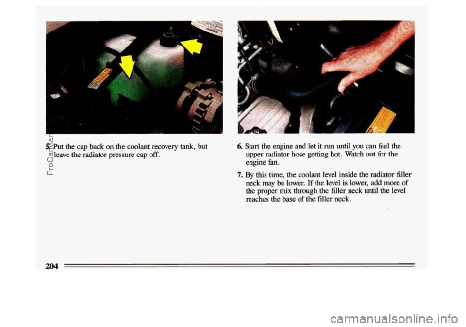 BUICK CENTURY 1993  Owners Manual i 
5. Put the cap  back on the  coolant  recovery tank, but 
leave  the  radiator  pressure  cap off. 
k 
6. Start the  engine  and  let it run  until you  can feel the 
upper  radiator  hose  getting