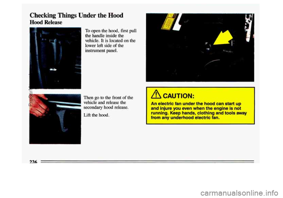 BUICK CENTURY 1993  Owners Manual -- 
Checking  Things Under the Hood 
Hood Release 
To open  the hood, first  pull 
the  handle  inside  the 
vehicle. 
It is  located on the 
lower 
left side  of  the 
instrument  panel. 
Then 
go to