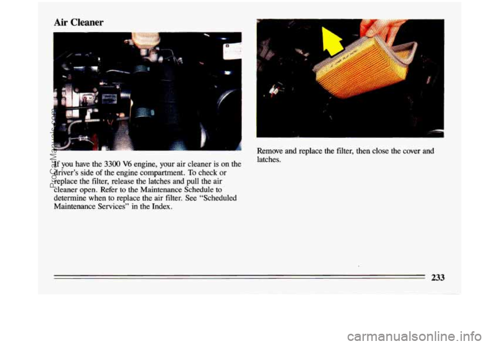 BUICK CENTURY 1993 Owners Manual Air Cleaner
.-
If you have the 3300 V6 engine, your air cleaner is on the
driver’s side
of the engine compartment. To check or
replace the filter, release the latches and pu BUICK CENTURY 1993 Owners Manual Air Cleaner
.-
If you have the 3300 V6 engine, your air cleaner is on the
driver’s side
of the engine compartment. To check or
replace the filter, release the latches and pu