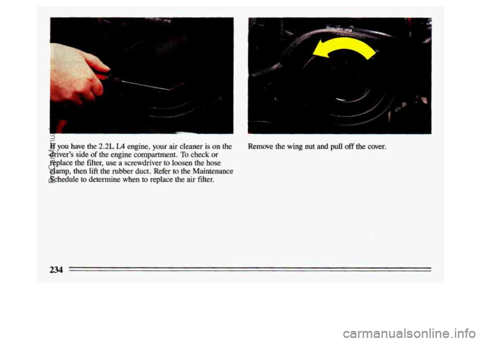 BUICK CENTURY 1993  Owners Manual If you  have the 2.2L L4 engine,  your  air  cleaner  is  on  the 
drivers  side 
of the  engine  compartment. To check or 
replace  the  filter,  use  a  screwdriver  to  loosen  the  hose 
clamp,  