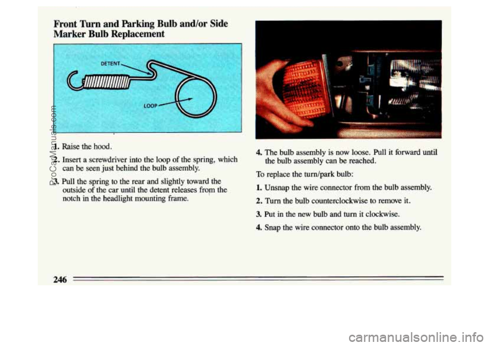 BUICK CENTURY 1993 Owners Manual Front Turn and Parking Bulb and/or Side
Marker Bulb Replacement
1. Raise the hood.
2. Insert a screwdriver into the loop of the spring, which
3. Pull the spring to the rear an BUICK CENTURY 1993 Owners Manual Front Turn and Parking Bulb and/or Side
Marker Bulb Replacement
1. Raise the hood.
2. Insert a screwdriver into the loop of the spring, which
3. Pull the spring to the rear an