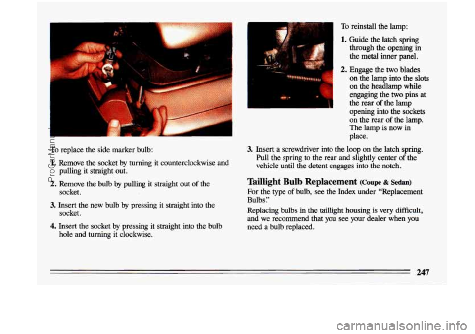 BUICK CENTURY 1993 Owners Manual To replace the side marker bulb:
1. Remove the socket by turning it counterclockwise and
pulling it straight out.
socket.
2. Remove the bulb by pulling it straight out of the
3 BUICK CENTURY 1993 Owners Manual To replace the side marker bulb:
1. Remove the socket by turning it counterclockwise and
pulling it straight out.
socket.
2. Remove the bulb by pulling it straight out of the
3