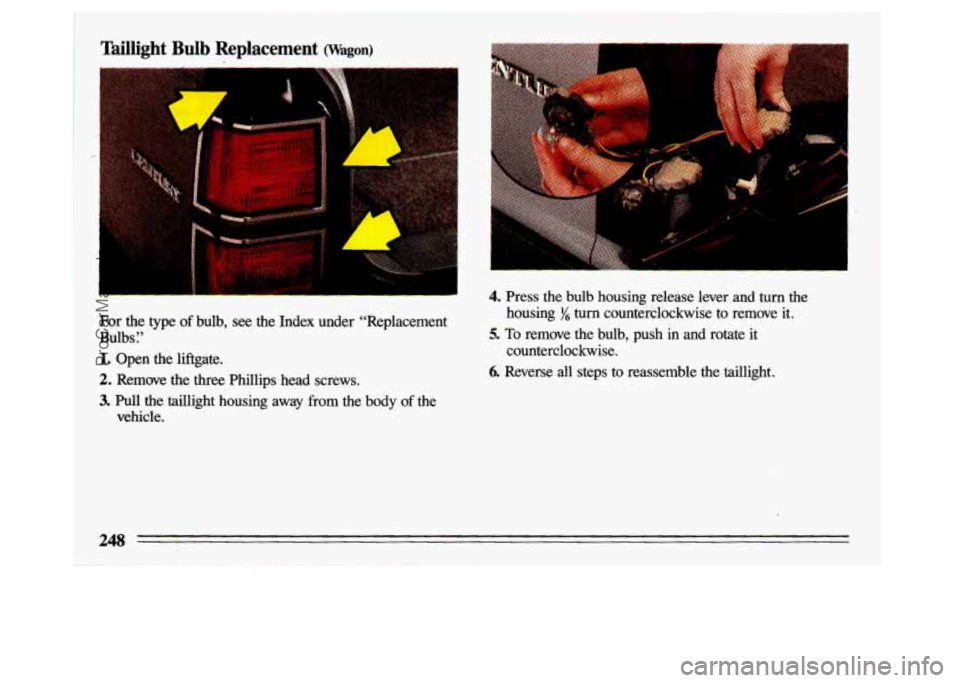 BUICK CENTURY 1993 Owners Manual aillight Bulb Replacement (Wagon)
For the type of bulb, see the Index under “Replacement
Bulbs
r’
1. Open the liftgate.
2. Remove the three Phillips head screws.
3. Pull the t BUICK CENTURY 1993 Owners Manual aillight Bulb Replacement (Wagon)
For the type of bulb, see the Index under “Replacement
Bulbs
r’
1. Open the liftgate.
2. Remove the three Phillips head screws.
3. Pull the t