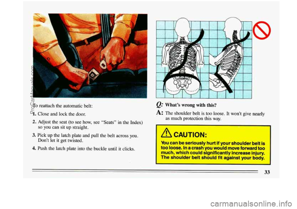 BUICK CENTURY 1993 Owners Guide n n 
To reattach  the  automatic  belt: 
1. Close  and  lock  the  door. 
2. Adjust  the  seat  (to  see  how, see “Seats”  in  the  Index) 
so you can  sit  up  straight. 
3. Pick  up  the  latch