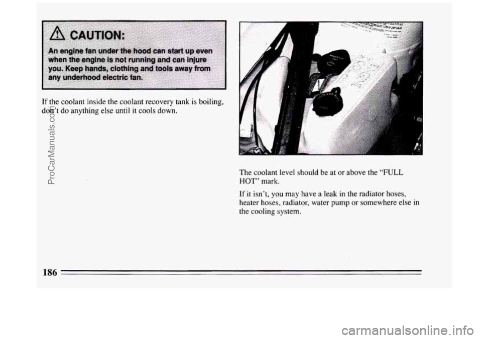 BUICK CENTURY 1994  Owners Manual I 
I. 
A 
If the coolant inside the coolant recovery tank is boiling, 
don’t  do anything else  until it cools  down. 
The coolant level should be at or  above the 
“FULL 
HOT” mark. 
If it isn�
