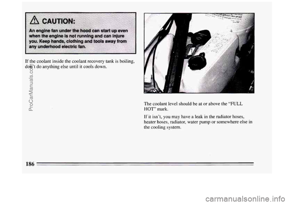 BUICK CENTURY 1994  Owners Manual I 
I. 
A 
If the coolant inside the coolant recovery tank is boiling, 
don’t  do anything else  until it cools  down. 
The coolant level should be at or  above the 
“FULL 
HOT” mark. 
If it isn