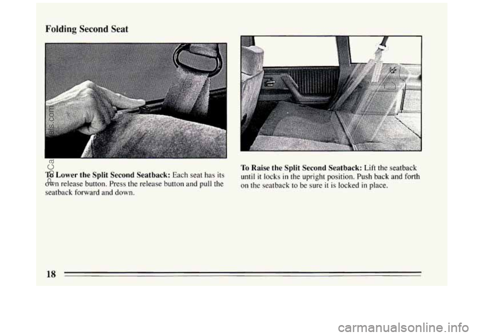 BUICK CENTURY 1994 User Guide Folding  Second Seat 
To Lower the Split Second Seatback: Each seat has  its 
own release button. Press the release button  and pull the 
seatback forward and  down. 
I 
To Raise the Split  Second Sea