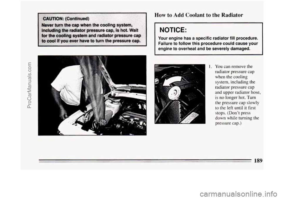 BUICK CENTURY 1994  Owners Manual How to Add  Coolant  to the Radiator 
NOTICE: 
Your  engine  has  a  specific  radiator fill procedure. 
Failure 
to follow  this  procedure  could  cause  your 
engine 
to overheat  and  be severely 