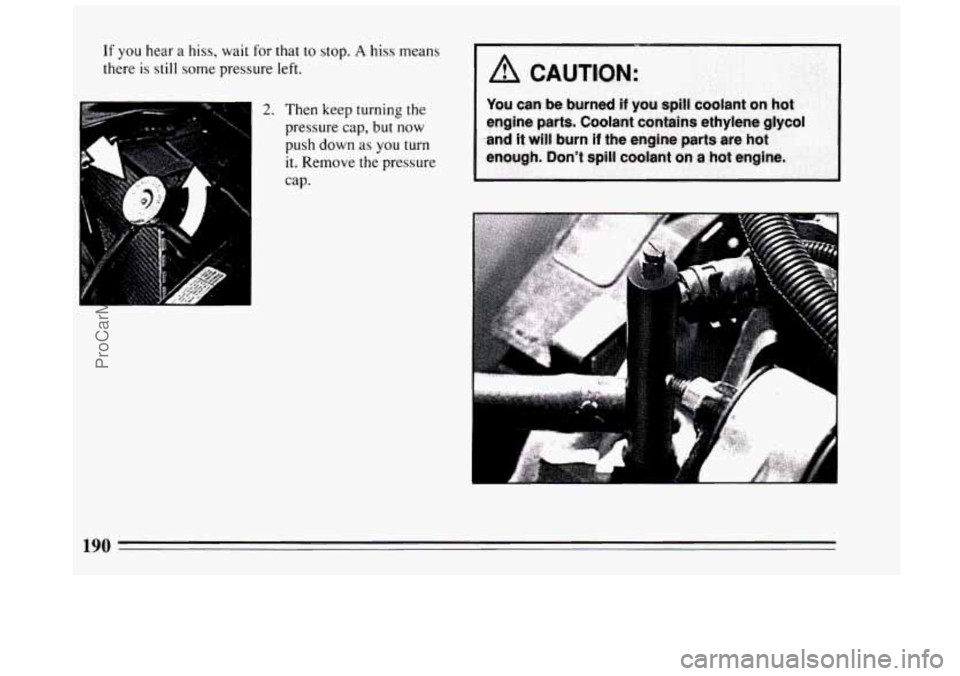BUICK CENTURY 1994  Owners Manual If you hear a hiss, wait for that to stop. A hiss means 
there 
is still some  pressure  left. 
2. Then keep turning the 
pressure cap, but now 
push  down  as you turn 
it. Remove the pressure 
cap. 