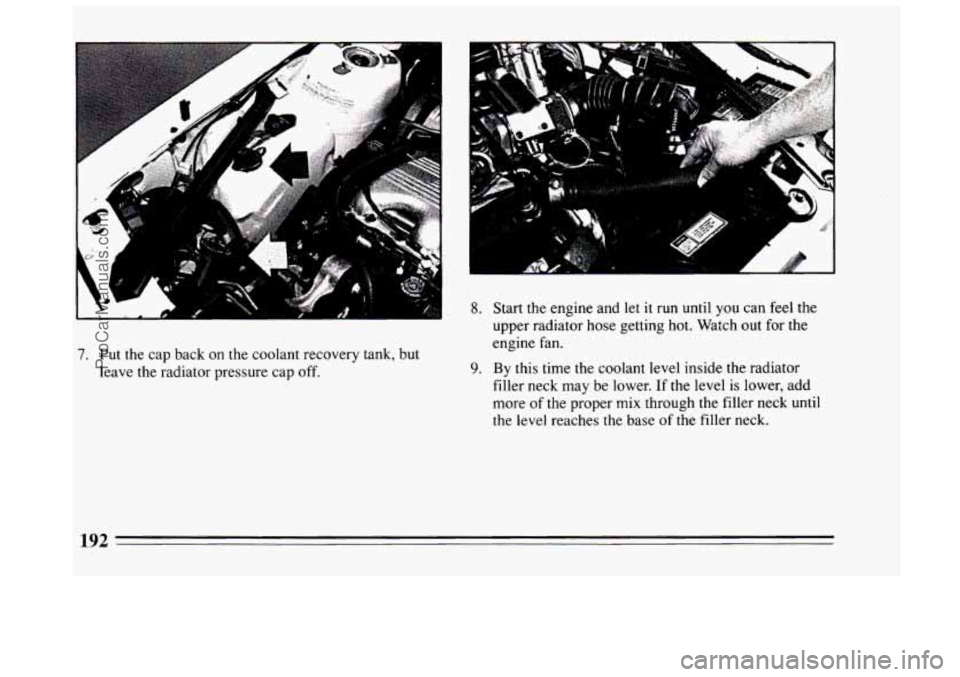 BUICK CENTURY 1994  Owners Manual 7. Put the cap  back on the coolant recovery tank,  but 
leave  the radiator pressure  cap off. 
8. Start the  engine and let it run  until  you  can feel the 
upper radiator hose getting hot.  Watch 