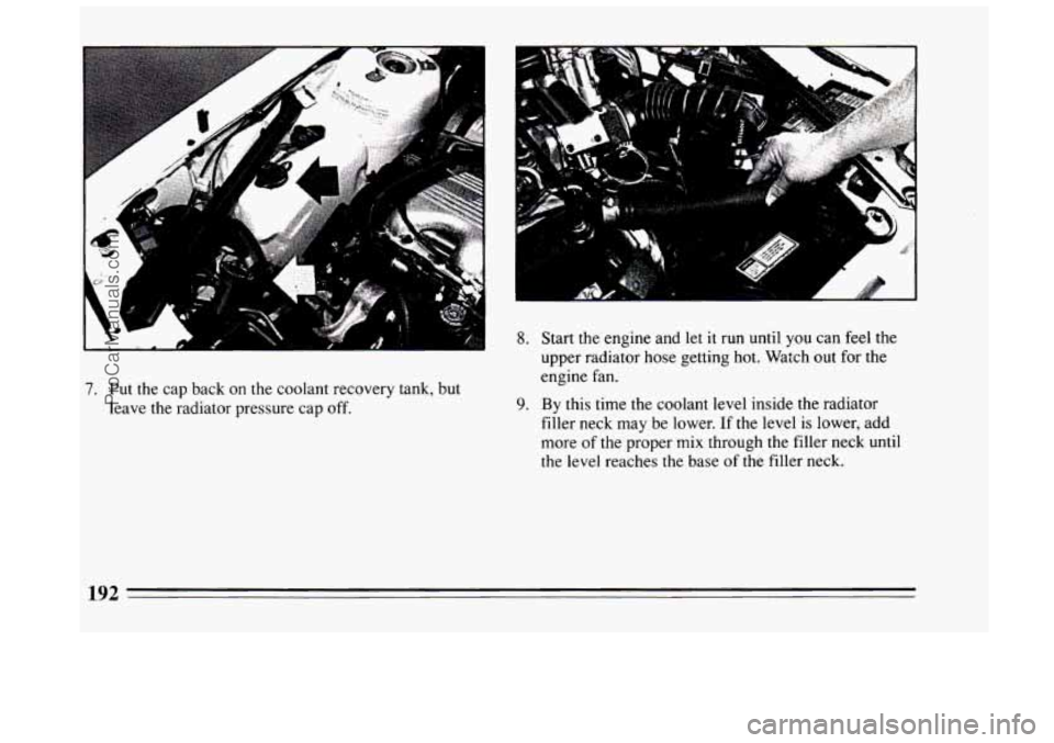 BUICK CENTURY 1994  Owners Manual 7. Put the cap  back on the coolant recovery tank,  but 
leave  the radiator pressure  cap off. 
8. Start the  engine and let it run  until  you  can feel the 
upper radiator hose getting hot.  Watch 