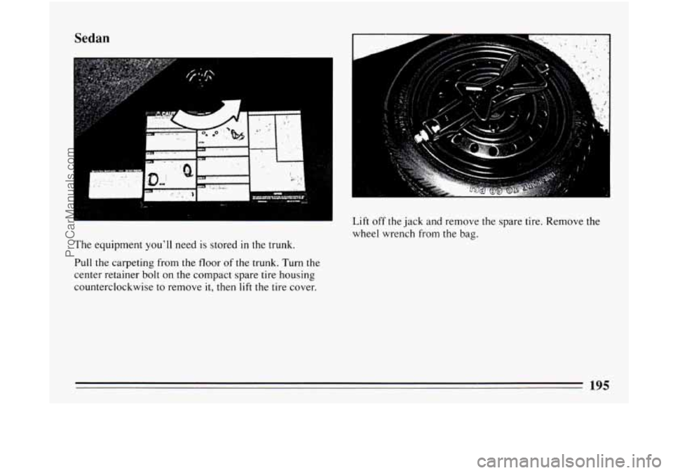 BUICK CENTURY 1994  Owners Manual Sedan 
The equipment  youll need is stored in the  trunk. 
Pull the  carpeting  from the floor  of the trunk. Turn the 
center retainer  bolt on the  compact  spare tire housing 
counterclockwise  to