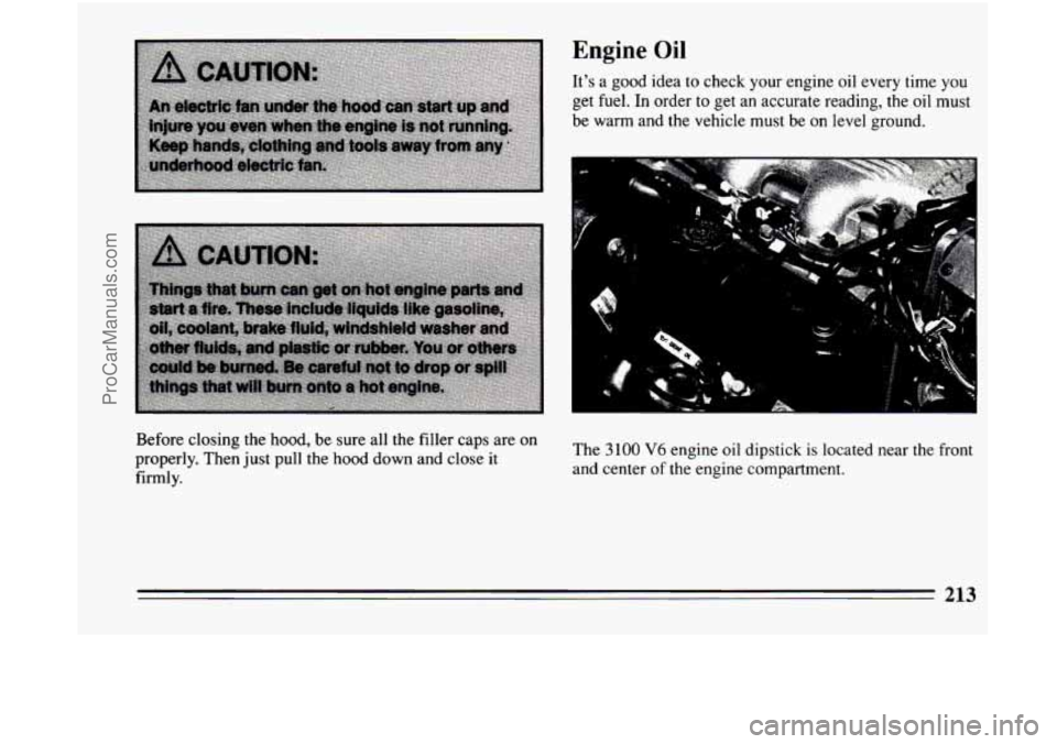 BUICK CENTURY 1994  Owners Manual Engine Oil 
It’s a good idea to check  your engine  oil every time you 
get fuel. In order to get  an  accurate  reading, the oil must 
be warm and the vehicle must  be on 
level ground. 
Before  cl