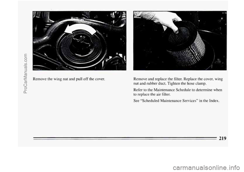 BUICK CENTURY 1994  Owners Manual Remove the wing nut and pull off the cover.  Remove and replace the filter. Replace the cover, 
wing 
nut and rubber duct. Tighten the hose clamp. 
Refer to the Maintenance  Schedule to determine  whe