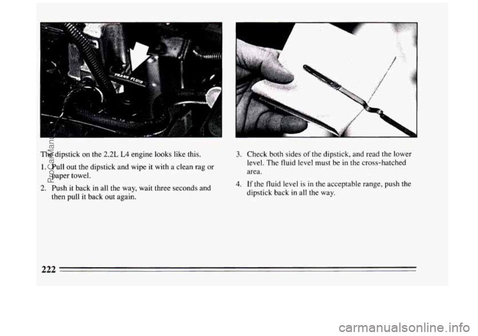 BUICK CENTURY 1994  Owners Manual The dipstick  on  the 2.2L L4 engine looks like  this. 
1. Pull out the dipstick and wipe it  with a clean  rag or 
paper towel. 
2. Push  it back  in all the  way,  wait  three seconds and 
then pull