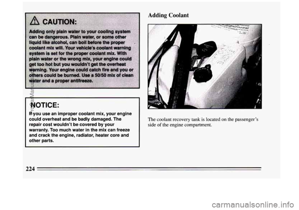 BUICK CENTURY 1994  Owners Manual Adding  Coolant 
NOTICE: 
If you  use  an  improper  coolant  mix,  your  engine 
could  overheat  and  be badly  damaged.  The 
repair  cost  wouldn’t  be  covered  by  your 
warranty. 
Too much  w