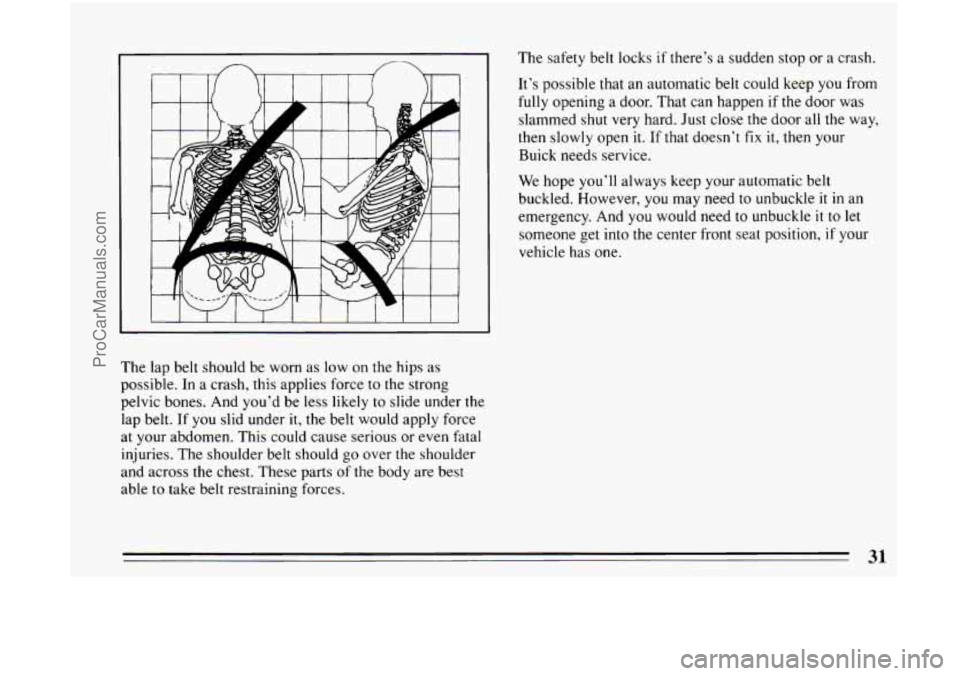 BUICK CENTURY 1994 Owners Guide I I I I 1 I  I 1 1 I I I 1 
The  lap belt should  be worn  as low on  the hips  as 
possible.  In a  crash,  this applies  force 
to the strong 
pelvic bones.  And you’d  be less  likely 
to slide u