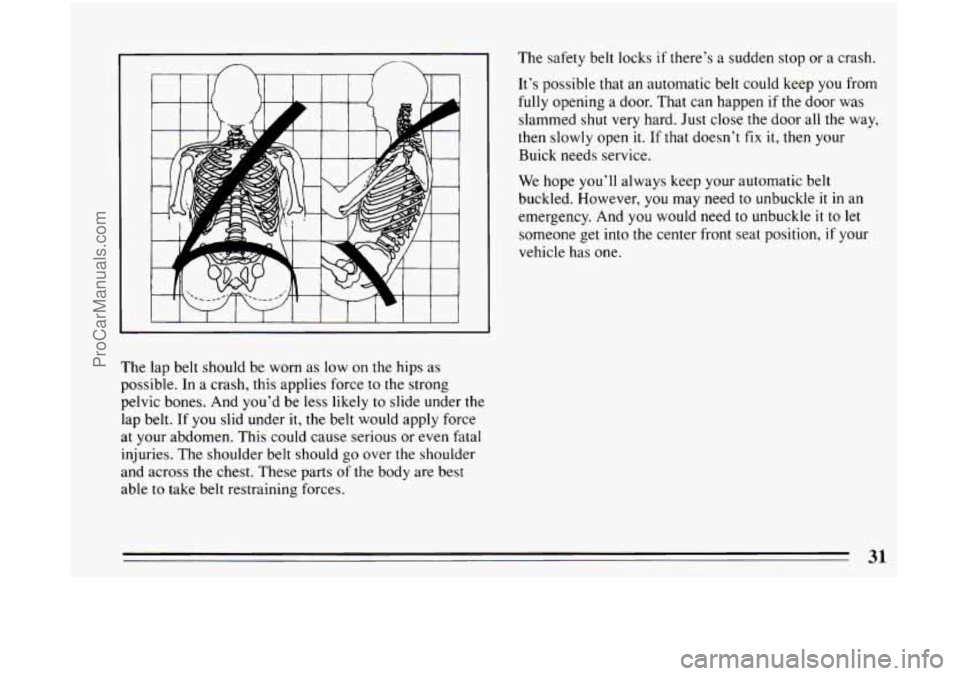 BUICK CENTURY 1994 Owners Guide I I I I 1 I I 1 1 I I I 1
The lap belt should be worn as low on the hips as
possible. In a crash, this applies force
to the strong
pelvic bones. And you’d be less likely
to slide u BUICK CENTURY 1994 Owners Guide I I I I 1 I I 1 1 I I I 1
The lap belt should be worn as low on the hips as
possible. In a crash, this applies force
to the strong
pelvic bones. And you’d be less likely
to slide u
