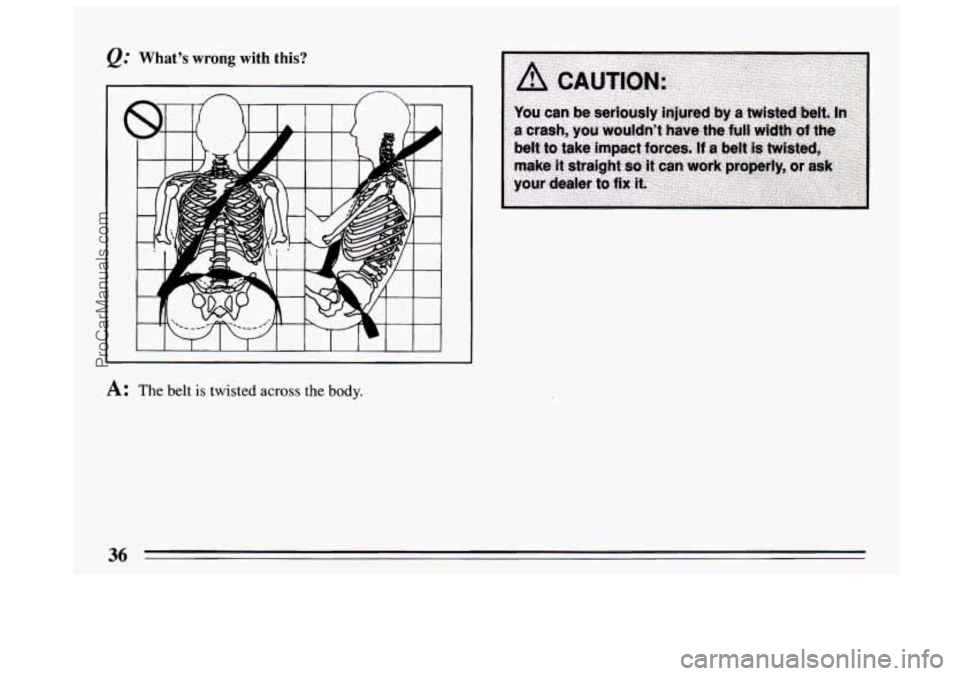 BUICK CENTURY 1994 Owners Guide &." Whats wrong with this? 
A: The belt is twisted across the body. 
36 
ProCarManuals.com 