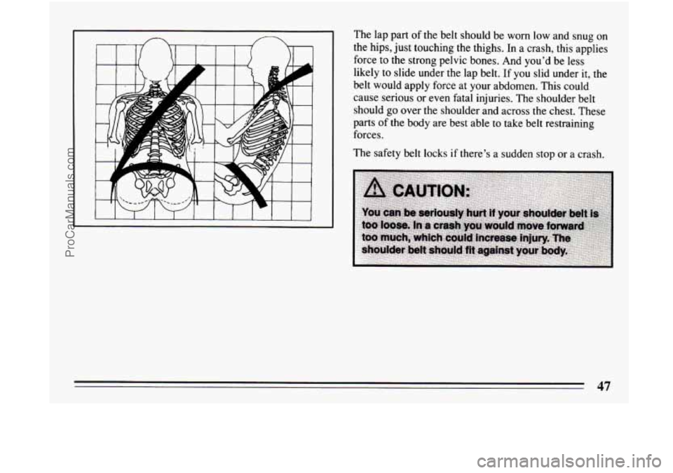 BUICK CENTURY 1994 Service Manual The lap part of the belt should be worn low and snug on
the hips, just touching the thighs. In a crash, this applies
force to the strong pelvic bones. And you’d be less
likely BUICK CENTURY 1994 Service Manual The lap part of the belt should be worn low and snug on
the hips, just touching the thighs. In a crash, this applies
force to the strong pelvic bones. And you’d be less
likely