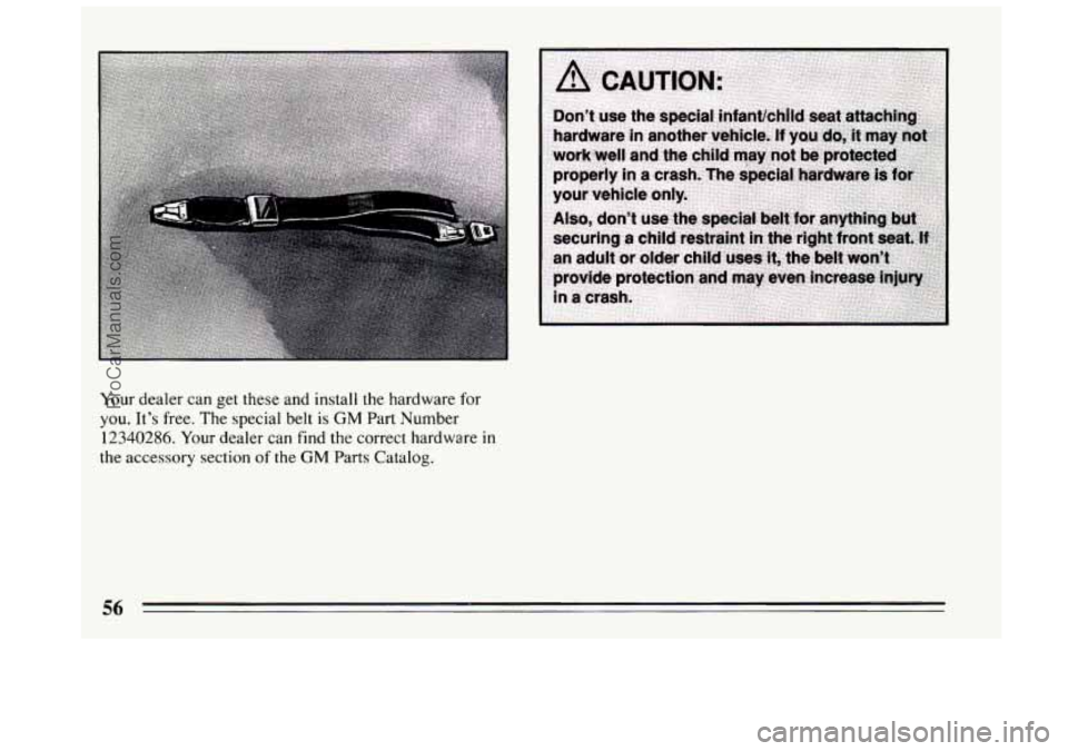 BUICK CENTURY 1994 Workshop Manual Your dealer can get these and install the hardware for
you. It’s free. The special belt is GM Part Number
12340286. Your dealer can find the correct hardware in
the accessory section of the G BUICK CENTURY 1994 Workshop Manual Your dealer can get these and install the hardware for
you. It’s free. The special belt is GM Part Number
12340286. Your dealer can find the correct hardware in
the accessory section of the G