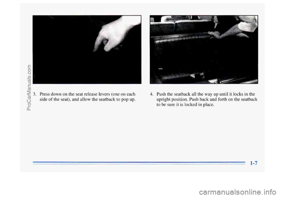 BUICK CENTURY 1996 User Guide I
3. Press down on the seat release levers (one on each
side of the seat), and allow the seatback to pop up. 4. Push the seatback all the way up until it locks in the
upright position BUICK CENTURY 1996 User Guide I
3. Press down on the seat release levers (one on each
side of the seat), and allow the seatback to pop up. 4. Push the seatback all the way up until it locks in the
upright position