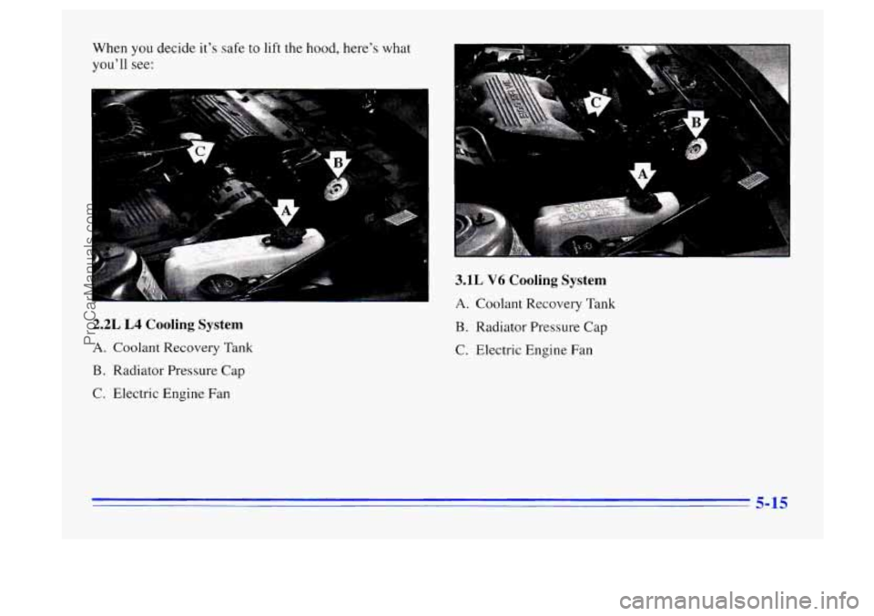 BUICK CENTURY 1996  Owners Manual When you decide  it’s safe to lift the hood, here’s  what 
you’ll see: 
2.2L L4 Cooling System 
A. Coolant  Recovery  Tank 
B. Radiator  Pressure Cap 
C.  Electric  Engine  Fan 
3.1L V6 Cooling 