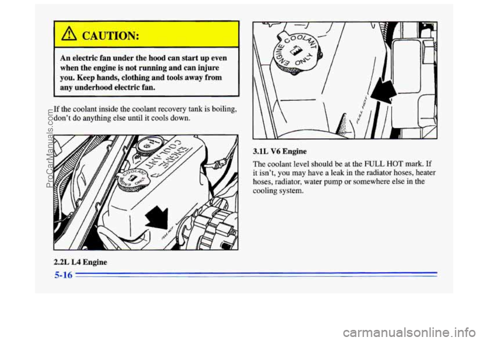 BUICK CENTURY 1996 Owners Manual (ACA u TT” I:
An electric fan under the hood can start up even
when the engine is not running and can injure
you. Keep hands, clothing and tools away from
any underhood ele BUICK CENTURY 1996 Owners Manual (ACA u TT” I:
An electric fan under the hood can start up even
when the engine is not running and can injure
you. Keep hands, clothing and tools away from
any underhood ele