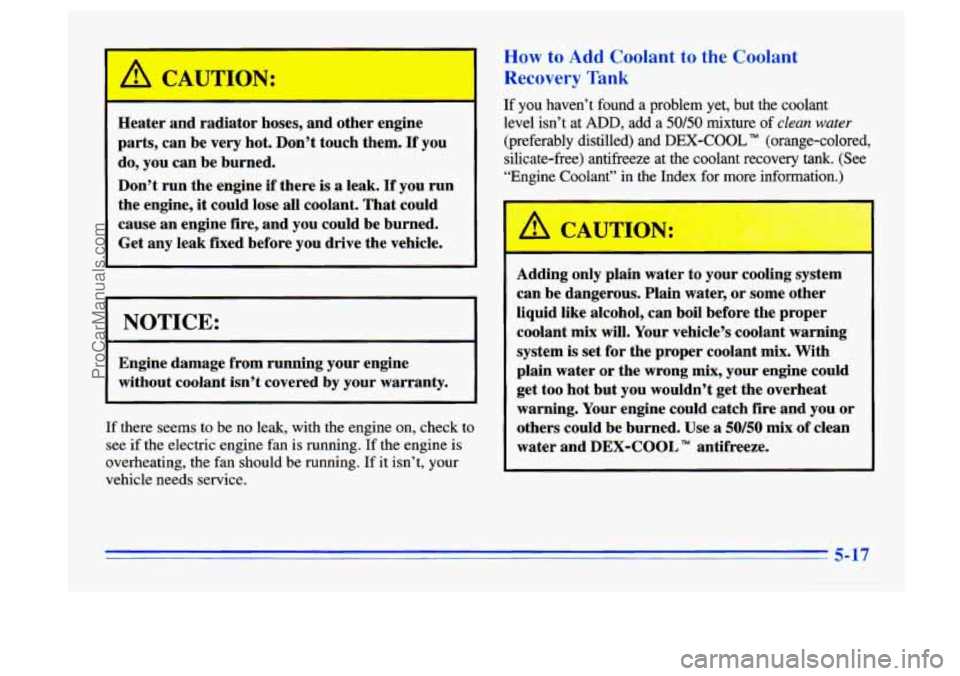 BUICK CENTURY 1996  Owners Manual A C U-ION: 
Heater  and  radiator hoses, and other  engine 
parts,  can be  very  hot.  Don’t touch them. 
If you 
do,  you  can be burned. 
Don’t  run the engine  if there 
is a leak. If you  run