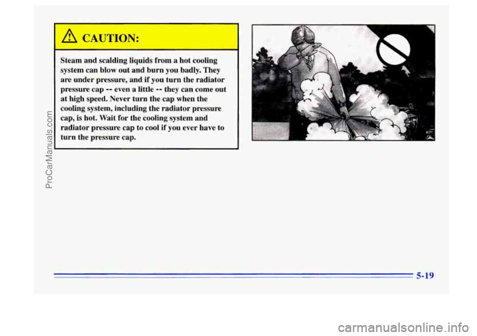 BUICK CENTURY 1996 Owners Manual Steam and scalding liquids from a hot cooling
system can blow out and burn you badly. They
are under pressure, and
if you turn the radiator
pressure cap
-- even a little -- they can BUICK CENTURY 1996 Owners Manual Steam and scalding liquids from a hot cooling
system can blow out and burn you badly. They
are under pressure, and
if you turn the radiator
pressure cap
-- even a little -- they can