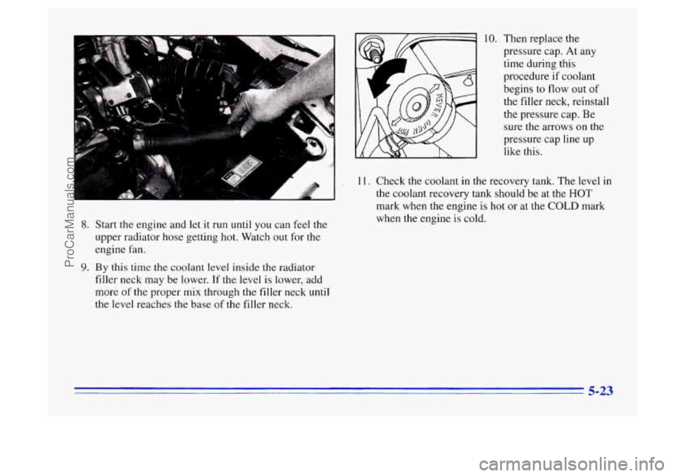 BUICK CENTURY 1996  Owners Manual 8. Start  the  engine and let it run until  you can feel the 
upper  radiator  hose getting  hot.  Watch out  for  the 
engine  fan. 
9. By  this  time  the coolant  level inside the radiator 
filler 