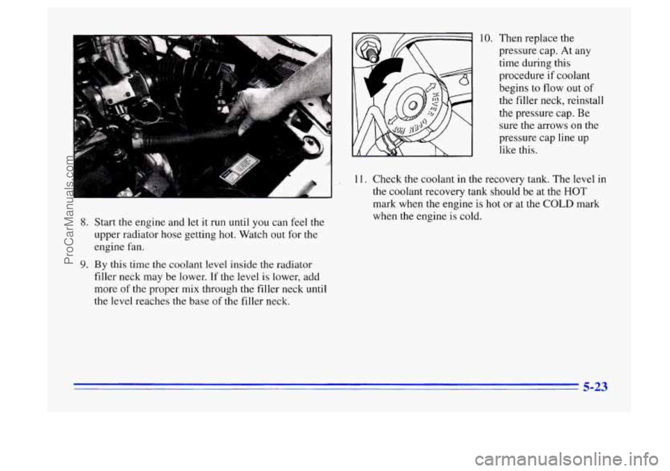 BUICK CENTURY 1996 Owners Manual 8. Start the engine and let it run until you can feel the
upper radiator hose getting hot. Watch out for the
engine fan.
9. By this time the coolant level inside the radiator
filler BUICK CENTURY 1996 Owners Manual 8. Start the engine and let it run until you can feel the
upper radiator hose getting hot. Watch out for the
engine fan.
9. By this time the coolant level inside the radiator
filler