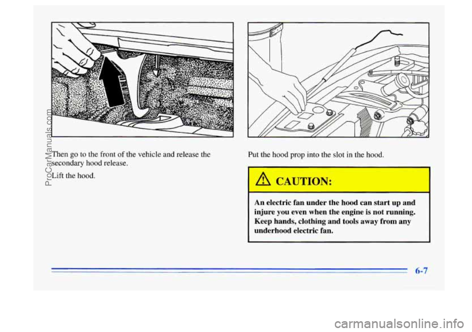 BUICK CENTURY 1996 Owners Manual Then go to the front of the vehicle and release the
secondary hood release.
Lift the hood. Put the
hood prop
into the slot in the hood.
I
An electric fan under the hood can start up BUICK CENTURY 1996 Owners Manual Then go to the front of the vehicle and release the
secondary hood release.
Lift the hood. Put the
hood prop
into the slot in the hood.
I
An electric fan under the hood can start up