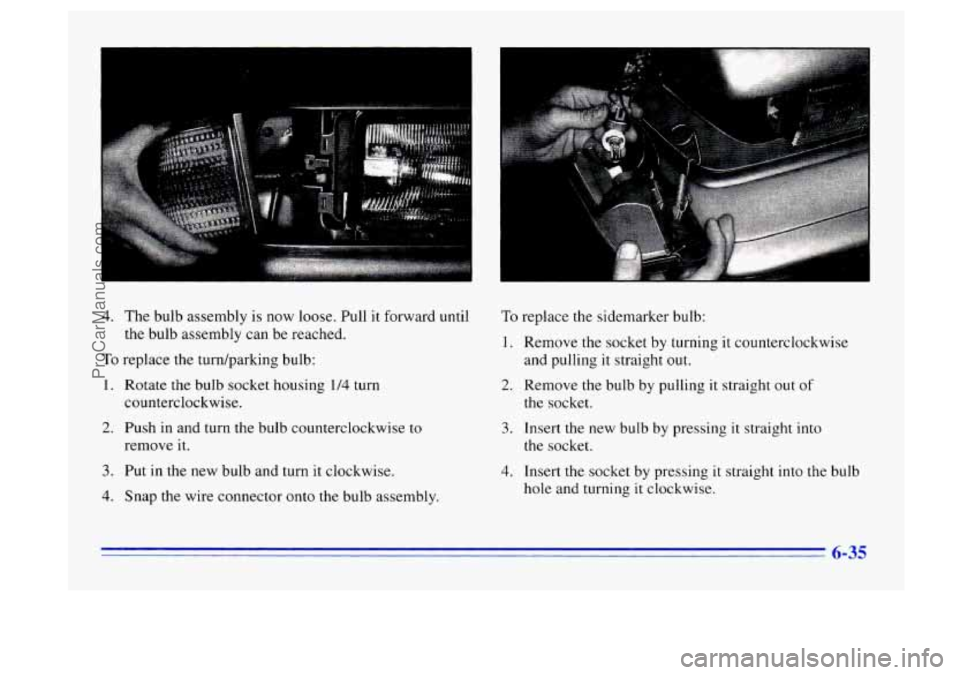 BUICK CENTURY 1996 Owners Manual 4. The bulb assembly is now loose. Pull it forward until
the bulb assembly can be reached.
To replace the turdparking bulb:
1. Rotate the bulb socket housing 1/4 turn
counterclockwise. BUICK CENTURY 1996 Owners Manual 4. The bulb assembly is now loose. Pull it forward until
the bulb assembly can be reached.
To replace the turdparking bulb:
1. Rotate the bulb socket housing 1/4 turn
counterclockwise.