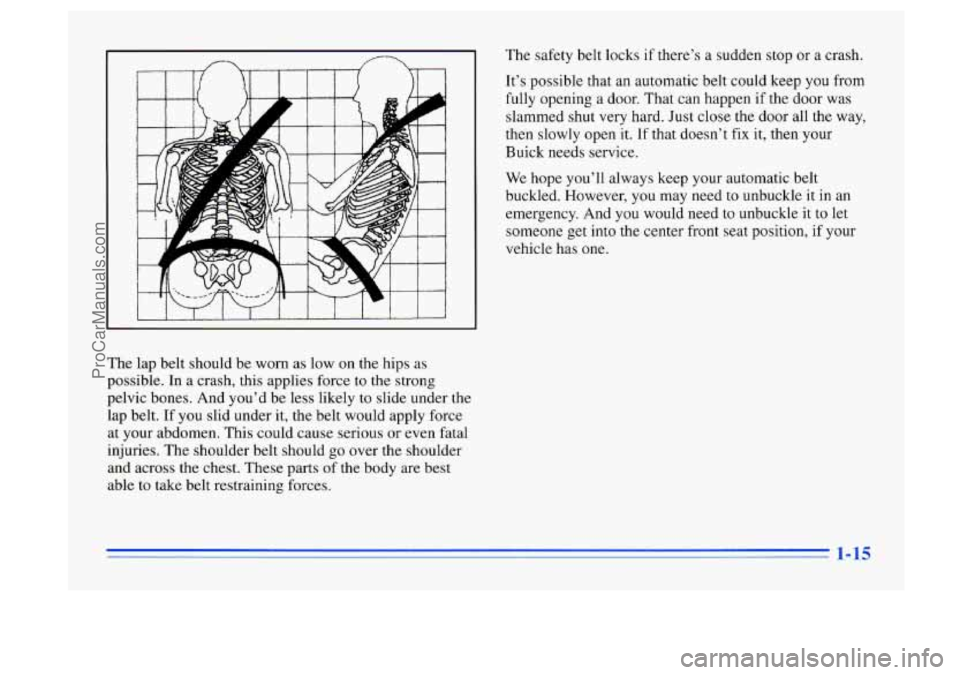 BUICK CENTURY 1996 Owners Manual The lap belt should be worn as low on the hips as
possible. In a crash, this applies force
to the strong
pelvic bones. And you’d be less likely to slide under the
lap belt. If y BUICK CENTURY 1996 Owners Manual The lap belt should be worn as low on the hips as
possible. In a crash, this applies force
to the strong
pelvic bones. And you’d be less likely to slide under the
lap belt. If y