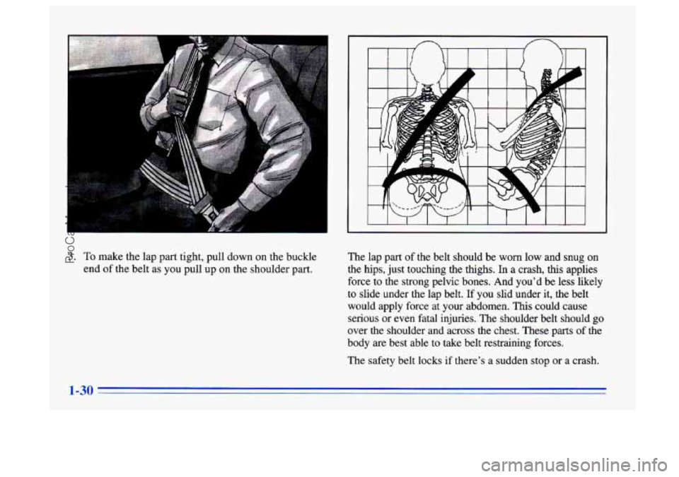 BUICK CENTURY 1996 Service Manual 3. To make the lap part tight, pull down on the buckle
end of the belt as you pull up
on the shoulder part.
I I I 1 I I I I
, I I I I I
The lap part of the belt should be worn low BUICK CENTURY 1996 Service Manual 3. To make the lap part tight, pull down on the buckle
end of the belt as you pull up
on the shoulder part.
I I I 1 I I I I
, I I I I I
The lap part of the belt should be worn low