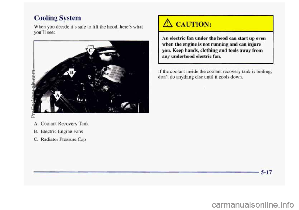 BUICK CENTURY 1997  Owners Manual Cooling System 
When you decide it’s safe to lift the  hood, here’s what 
you’ll  see: 
I 
A 
A. Coolant Recovery Tank 
B. Electric Engine Fans 
C.  Radiator  Pressure 
Cap 
I 
’ A CAUTION: I 