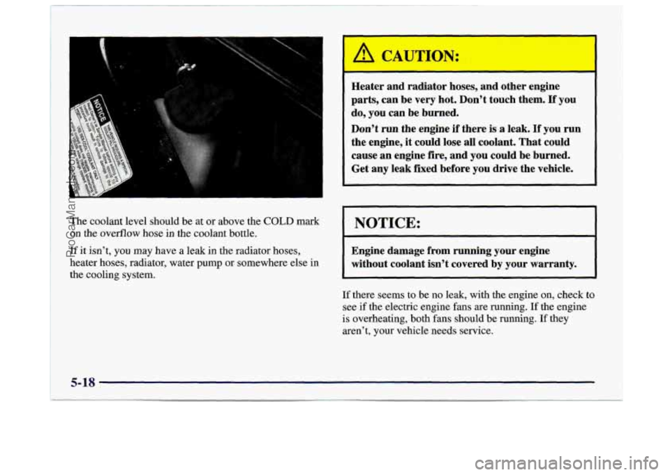 BUICK CENTURY 1997  Owners Manual The  coolant  level should be  at  or  above the COLD mark 
on the overflow  hose in the  coolant bottle. 
If  it  isn’t,  you  may  have a  leak  in  the  radiator  hoses, 
heater hoses, radiator, 