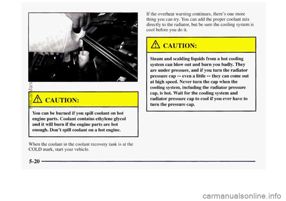 BUICK CENTURY 1997  Owners Manual . I 
You can  be  burned  if you  spill  coolant  on hot 
engine  parts.  Coolant  contains  ethylene  glycol 
and  it  will burn  if the  engine  parts  are  hot 
enough.  Dont  spill  coolant  on  