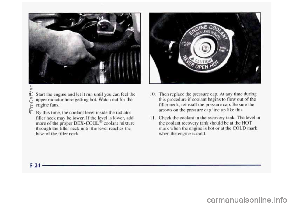 BUICK CENTURY 1997  Owners Manual - 
8. Start the engine  and let it run until you  can feel  the 
upper radiator hose getting hot.  Watch out for the 
engine  fans. 
9. By this  time, the  coolant level inside the radiator 
filler  n
