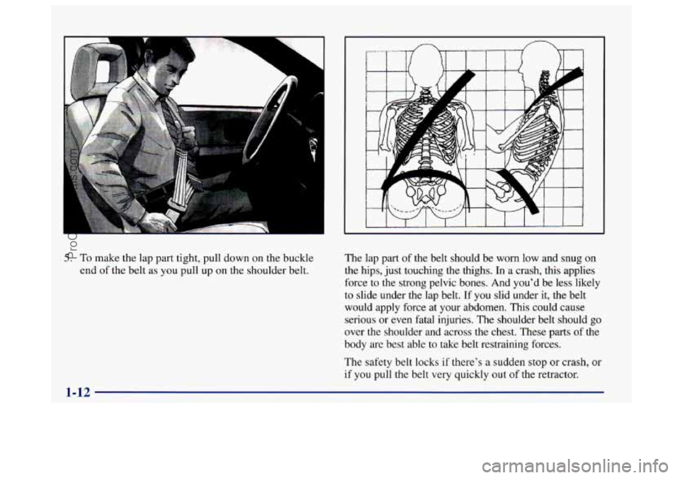 BUICK CENTURY 1997 Owners Manual 5. To make the lap part tight, pull down on  the buckle 
end  of the belt as  you pull  up on the  shoulder  belt.  The lap 
part  of the belt  should  be worn  low  and  snug on 
the hips, just touch