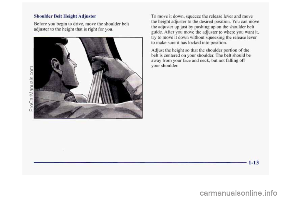 BUICK CENTURY 1997 Owners Manual Shoulder  Belt  Height  Adjuster 
Before you begin  to  drive,  move the shoulder  belt 
adjuster  to 
the height  that is right for you. 
t 
10 move it down, squeeze the  release lever and move 
the 