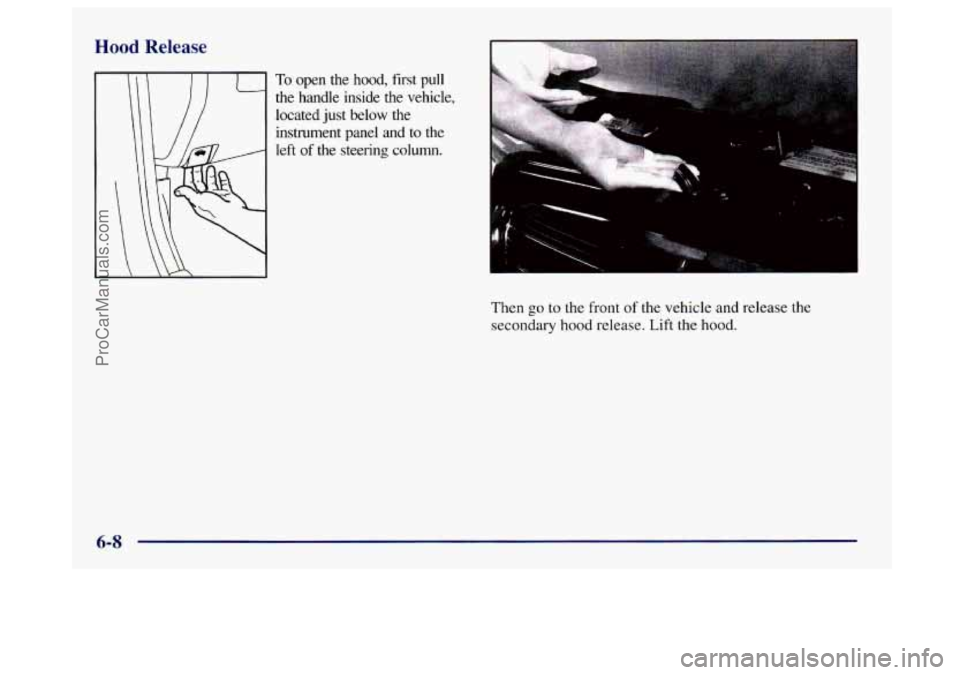 BUICK CENTURY 1997 Owners Manual Hood Release
To open the hood, first pull
the handle inside the vehicle,
located just below the
instrument panel and
to the
left
of the steering column.
Then
go to the front of BUICK CENTURY 1997 Owners Manual Hood Release
To open the hood, first pull
the handle inside the vehicle,
located just below the
instrument panel and
to the
left
of the steering column.
Then
go to the front of
