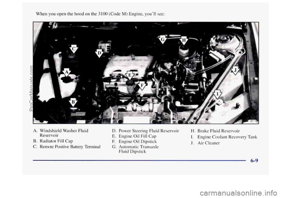 BUICK CENTURY 1997 Owners Manual When you open the hood on the 3 100 (Code M) Engine, you’ll see:
A. Windshield Washer Fluid
B. Radiator
Fill Cap
C. Remote Positive Battery Terminal
Reservoir
D. Power
Steering Fluid Res BUICK CENTURY 1997 Owners Manual When you open the hood on the 3 100 (Code M) Engine, you’ll see:
A. Windshield Washer Fluid
B. Radiator
Fill Cap
C. Remote Positive Battery Terminal
Reservoir
D. Power
Steering Fluid Res