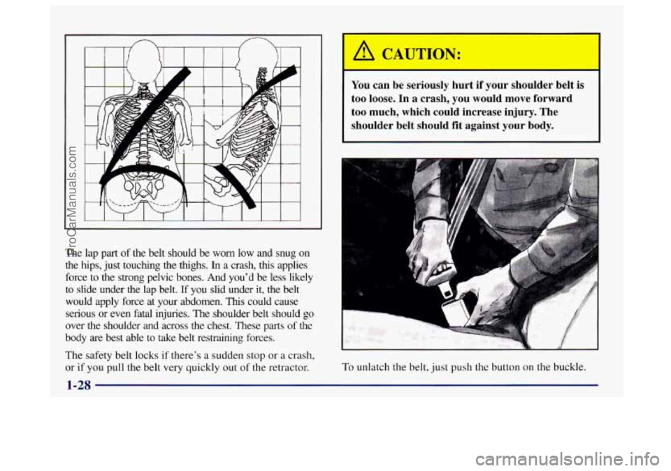 BUICK CENTURY 1997 Service Manual The lap part of the belt should be worn low and snug on
the hips, just touching the thighs.
In a crash, this applies
force to the strong pelvic bones. And you’d be less l BUICK CENTURY 1997 Service Manual The lap part of the belt should be worn low and snug on
the hips, just touching the thighs.
In a crash, this applies
force to the strong pelvic bones. And you’d be less l