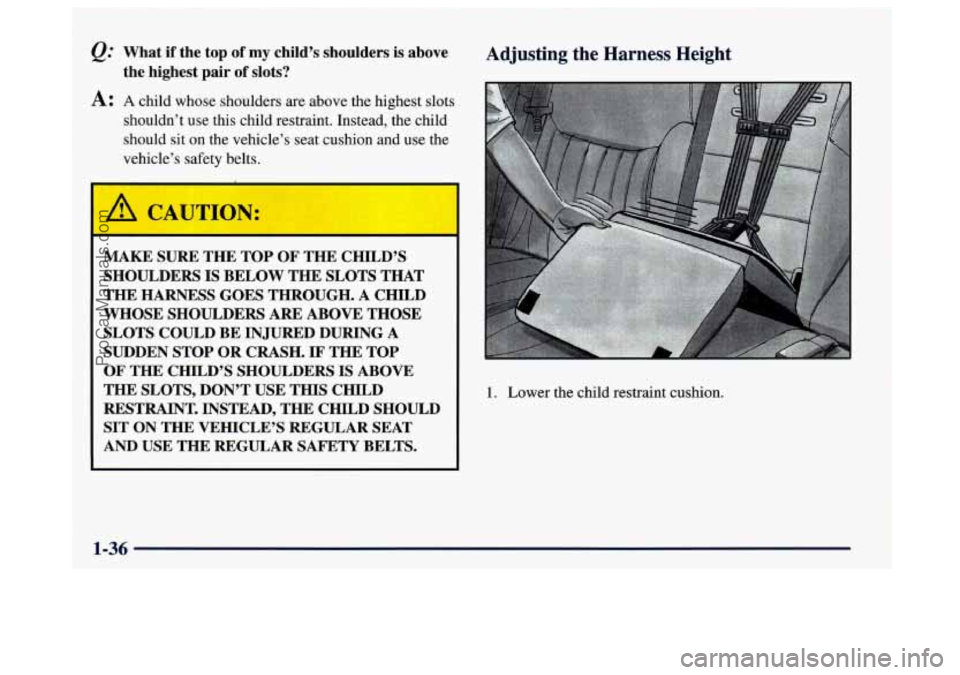 BUICK CENTURY 1997 Service Manual @ What if the top of my child’s shoulders is above
A: A child whose shoulders are above the highest slots
the highest pair of slots?
shouldn’t use this child restraint. Instead, the child BUICK CENTURY 1997 Service Manual @ What if the top of my child’s shoulders is above
A: A child whose shoulders are above the highest slots
the highest pair of slots?
shouldn’t use this child restraint. Instead, the child